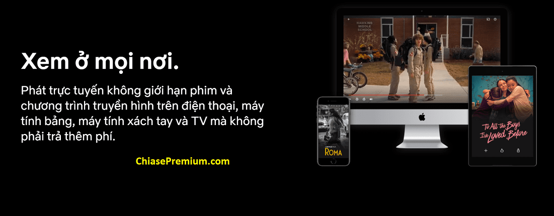 Netflix đang dần chiếm thị phần ở thị trường Việt Nam nhờ ảnh hưởng của thương hiệu lớn.