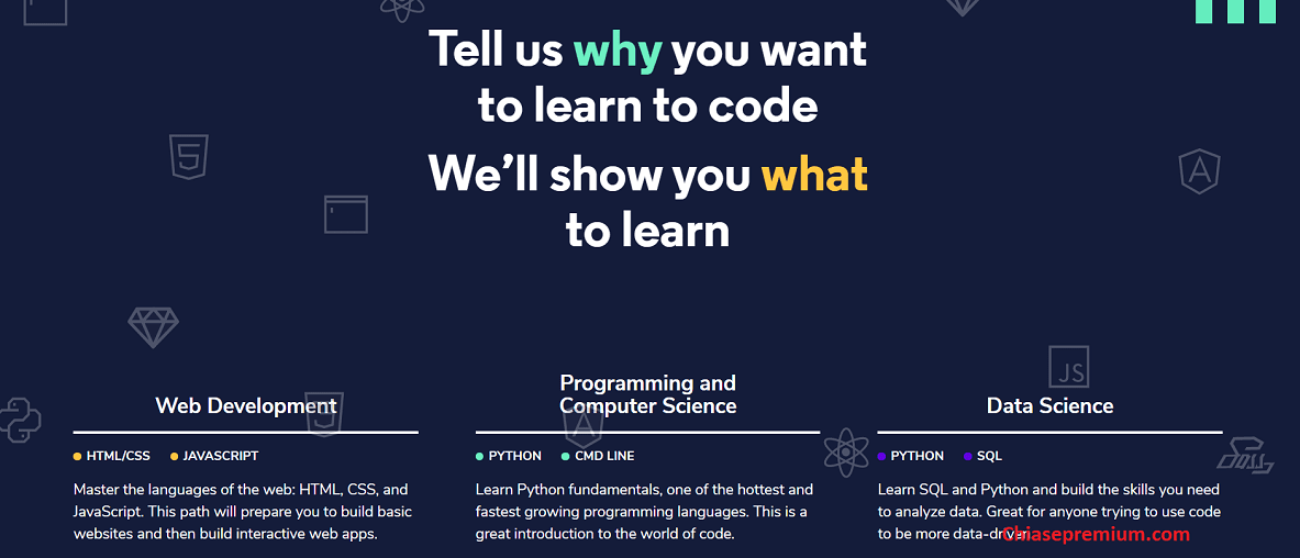 Có rất nhiều khóa học lập trình chất lượng ở tài khoản CodeCademy Pro