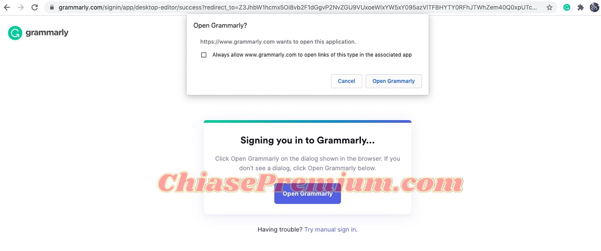 Hướng dẫn sử dụng Grammarly trên máy tính Mac (tiếp theo)
