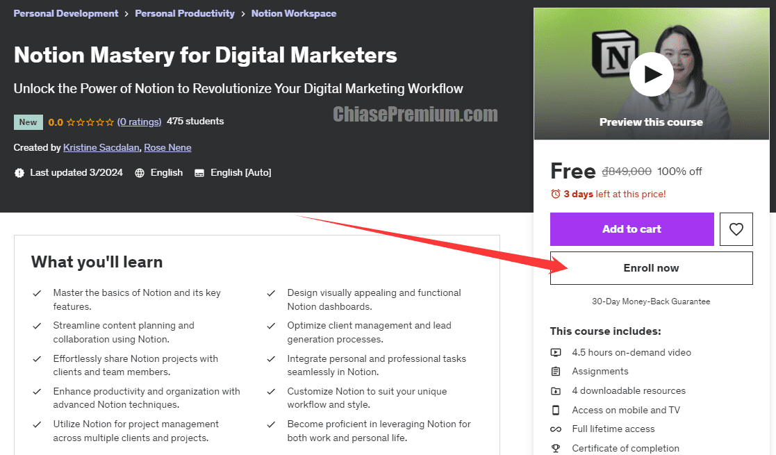 Notion Mastery for Digital Marketers