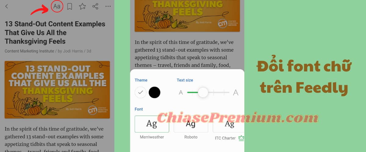 How to customize the font size and family - Feedly - review by Chiasepremiumdotcom