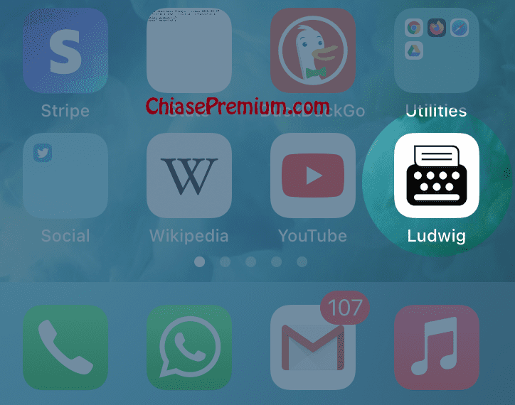 How to run Ludwig App on your iPhone and iPad