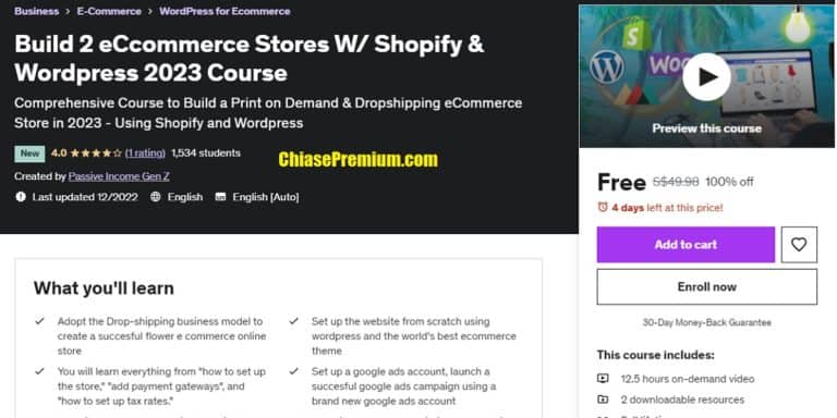 Build 2 eCcommerce Stores W/ Shopify & Wordpress 2023 Course free