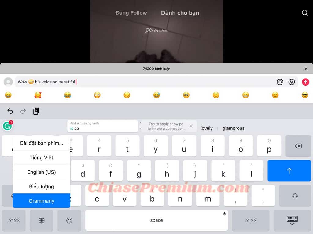 Cài đặt bàn phím Grammarly trên iPad thành công.