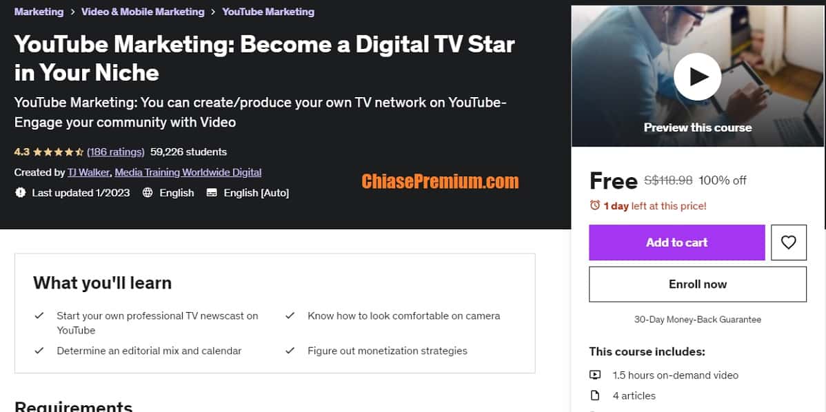 YouTube Marketing: Become a Digital TV Star in Your Niche