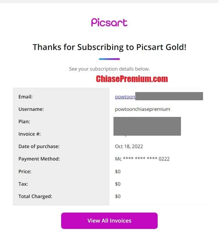 Invoice Picsart gold