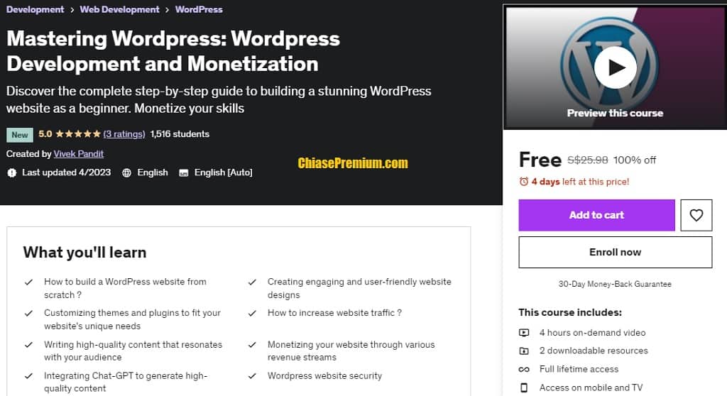 Wordpress Development and Monetization