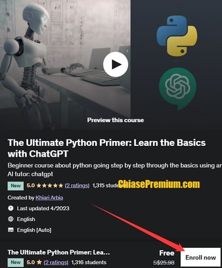 The Ultimate Python Primer: Learn the Basics with ChatGPT 