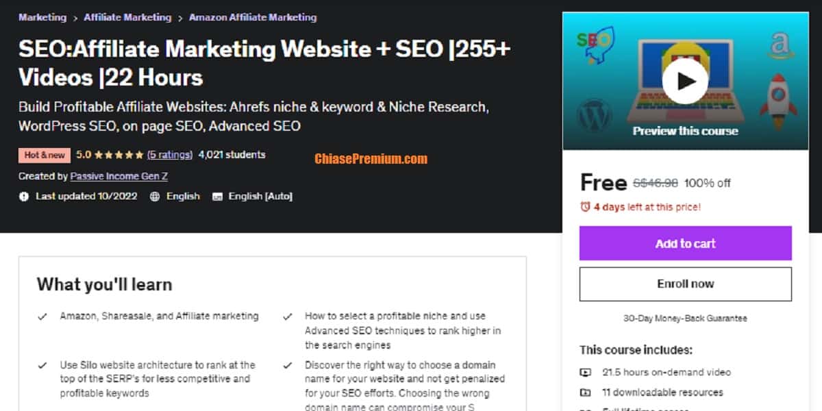 SEO:Affiliate Marketing Website + SEO