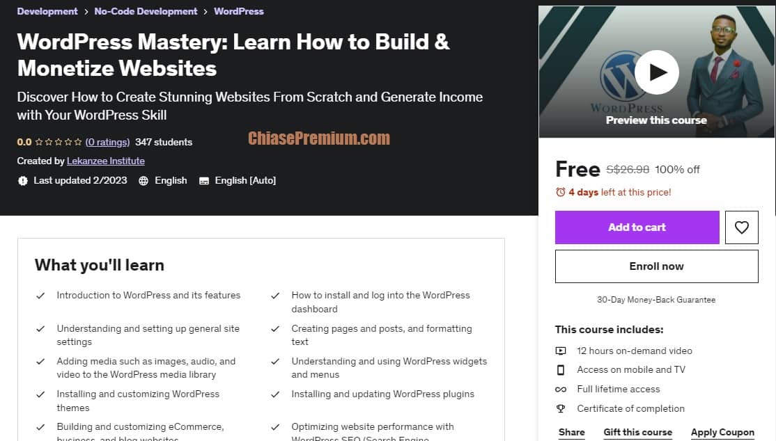 WordPress Mastery: Learn How to Build & Monetize Websites