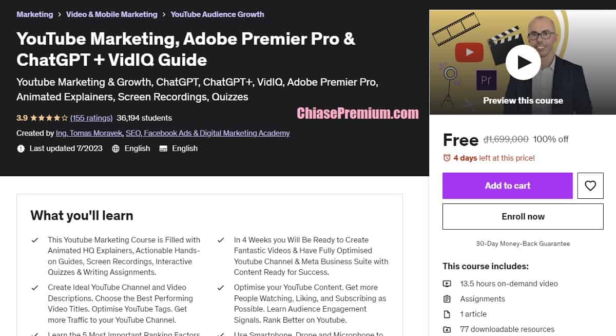 YouTube Marketing, Adobe Premier Pro & ChatGPT + VidIQ Guide