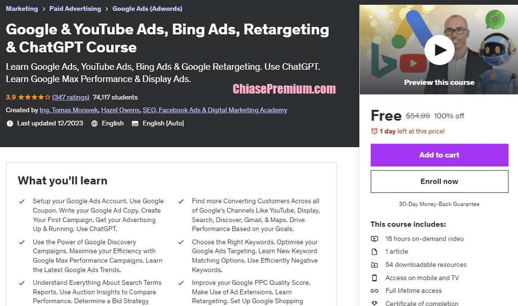 Google & YouTube Ads, Bing Ads, Retargeting & ChatGPT Course