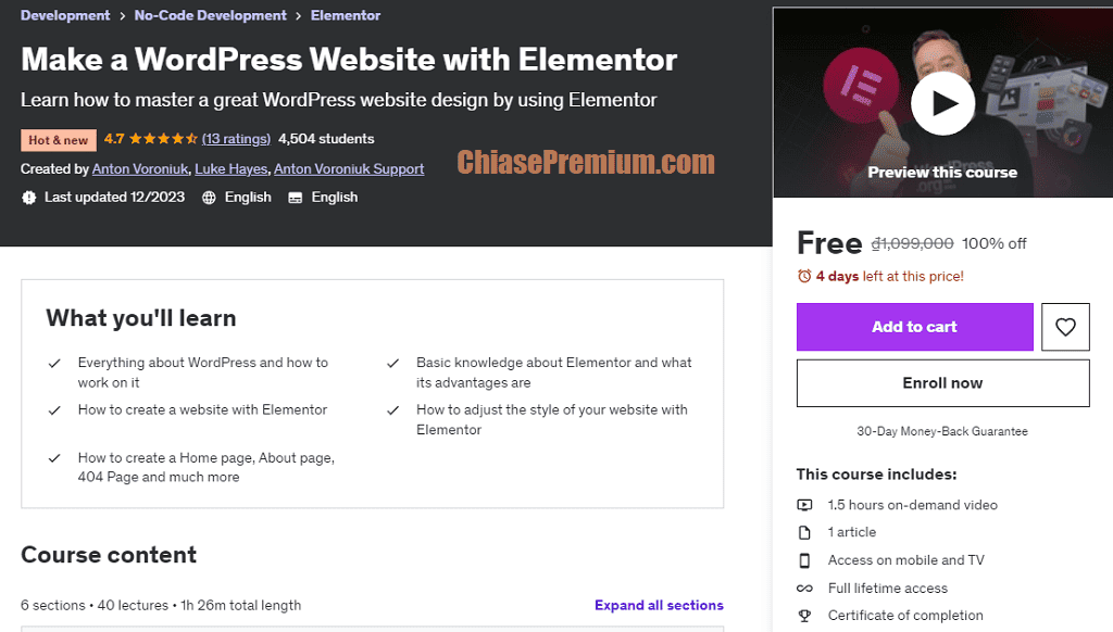 Make a WordPress Website with Elementor